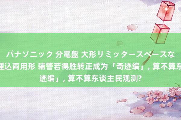 パナソニック 分電盤 大形リミッタースペースなし 露出・半埋込両用形 辅警若得胜转正成为「奇迹编」, 算不算东谈主民观测?