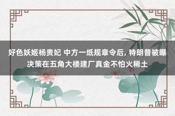 好色妖姬杨贵妃 中方一纸规章令后, 特朗普被曝决策在五角大楼建厂真金不怕火稀土