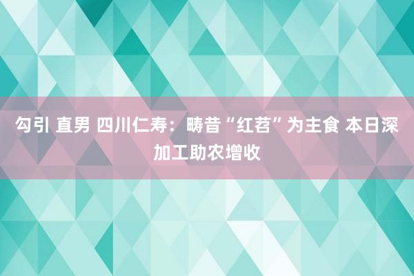 勾引 直男 四川仁寿：畴昔“红苕”为主食 本日深加工助农增收