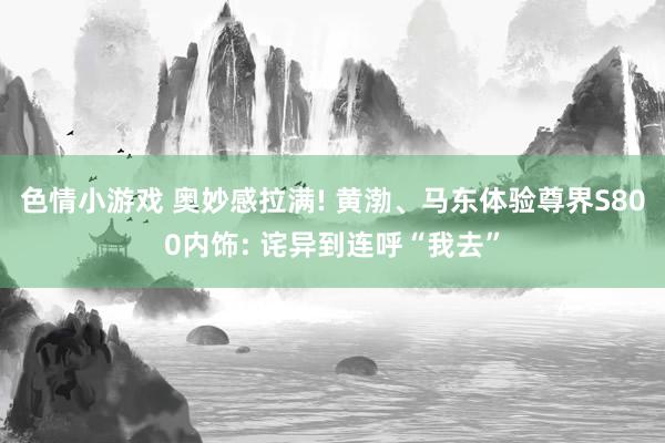 色情小游戏 奥妙感拉满! 黄渤、马东体验尊界S800内饰: 诧异到连呼“我去”