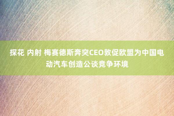 探花 内射 梅赛德斯奔突CEO敦促欧盟为中国电动汽车创造公谈竞争环境