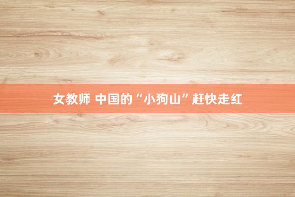 女教师 中国的“小狗山”赶快走红