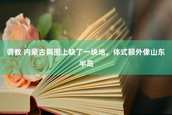 调教 内蒙古舆图上缺了一块地，体式额外像山东半岛