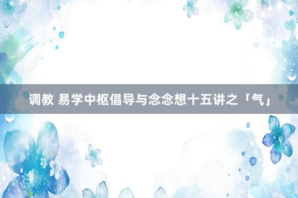 调教 易学中枢倡导与念念想十五讲之「气」