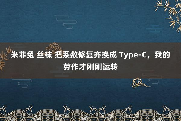 米菲兔 丝袜 把系数修复齐换成 Type-C，我的劳作才刚刚运转